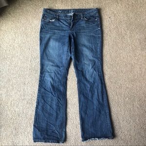 Ann Taylor loft size 14 curvy boot jeans